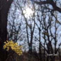 Super Sad (2021.5.27)